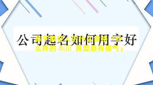 鼻子象征人的什么命格「什么样的 🐠 鼻型最有福气」